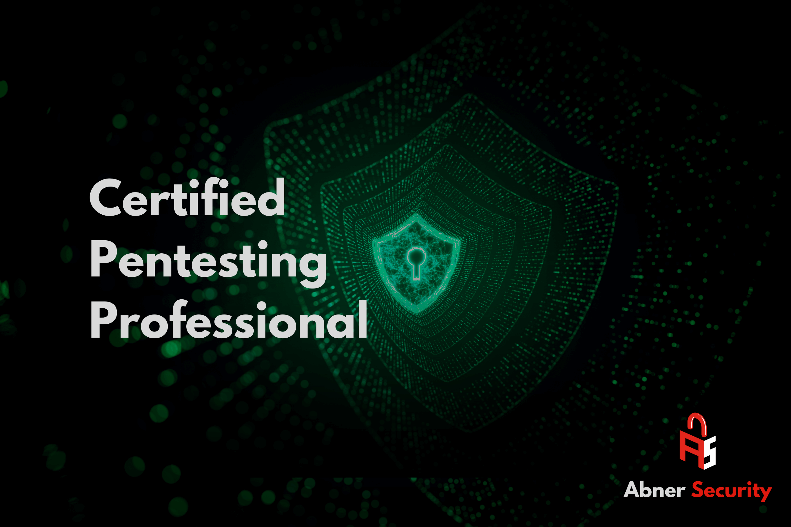 ABNERSECURITY CERTIFIED PENTESTING PROFESSIONAL
