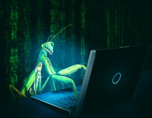 HOW TO GENERATE INCOME AS A STUDENT IN BUG BOUNTY HUNTING?